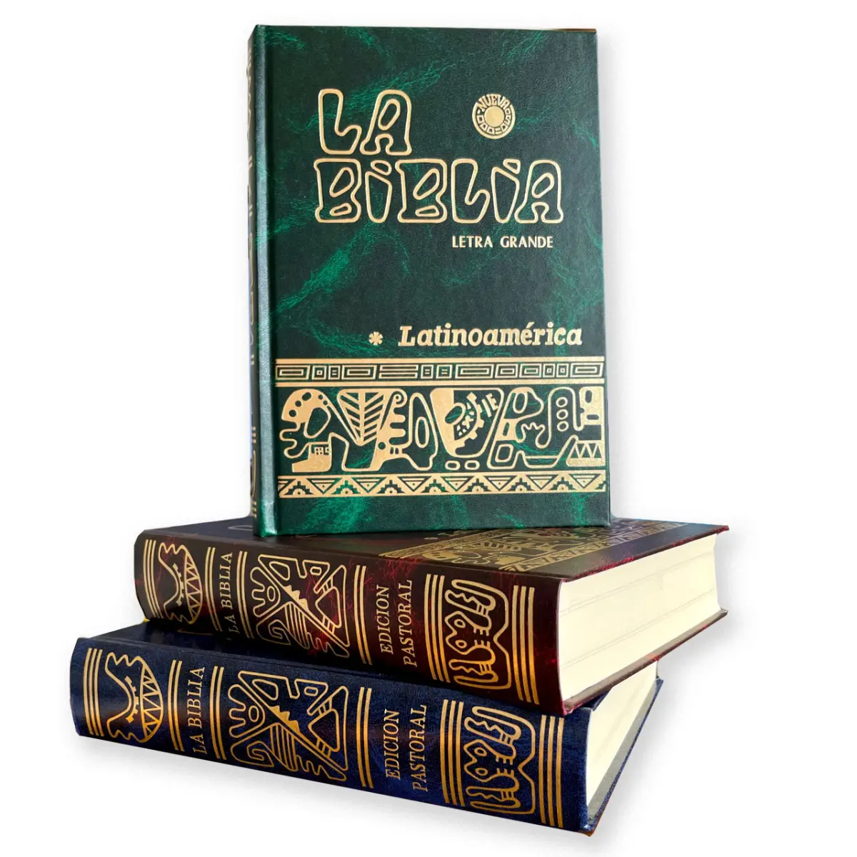 Sagrada Biblia